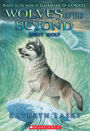 Spirit Wolf (Wolves of the Beyond Series #5)