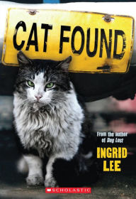 Cat Found