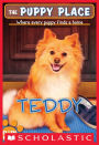 Teddy (The Puppy Place Series #28)