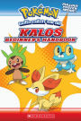 Pokemon: Kalos Beginner's Handbook