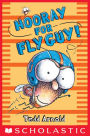 Hooray for Fly Guy! (Fly Guy Series #6)