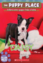 Daisy (The Puppy Place Series #38)