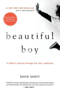 Title: Beautiful Boy: A Father's Journey Through His Son's Addiction, Author: David Sheff