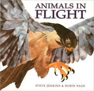 Title: Animals in Flight, Author: Robin Page