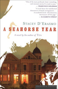 Title: A Seahorse Year: A Novel, Author: Stacey  D'Erasmo