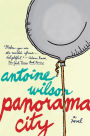 Panorama City: A Novel