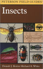 Peterson Field Guide to Insects