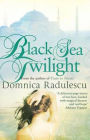 Black Sea Twilight