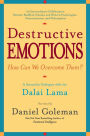 Destructive Emotions - How Can We Overcome Them?: A Scientific Dialogue with the Dalai Lama