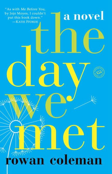 The Day We Met: A Novel