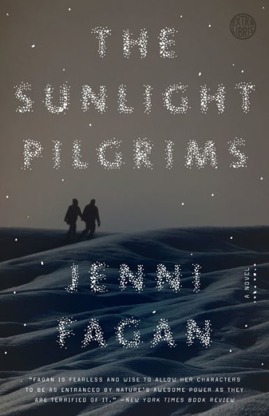 The Sunlight Pilgrims: A Novel