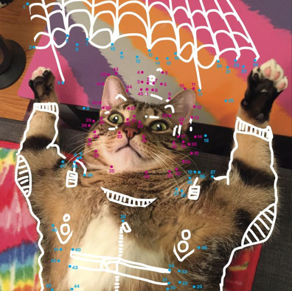 I Draw on Cats: A Connect-the-Dots Activity Book