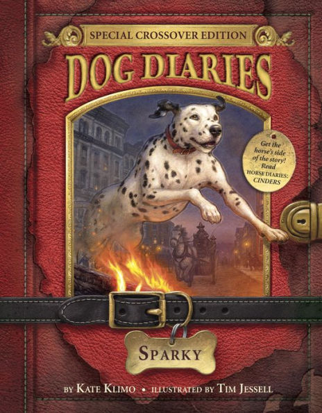 Sparky (Dog Diaries Series #9)