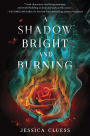 A Shadow Bright and Burning (Kingdom on Fire Series #1)