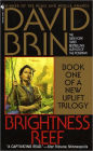 Brightness Reef (New Uplift Series #1)
