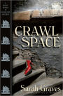 Crawlspace (Home Repair Is Homicide Series #13)