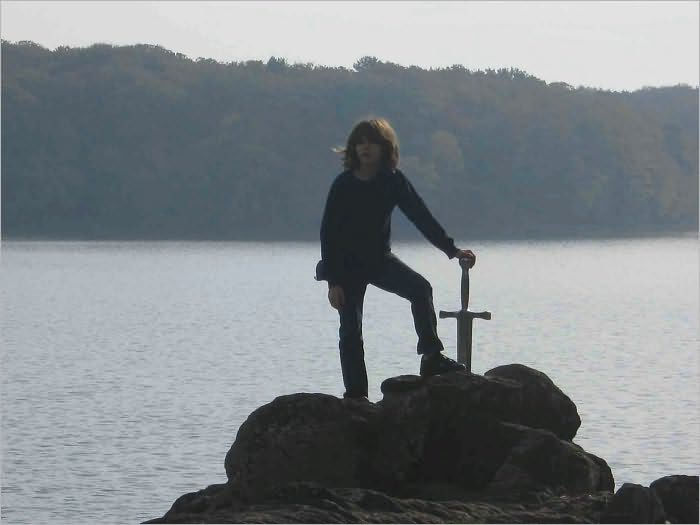 The Wizard's Apprentice by Bo Erik Hollsten eBook Barnes & Noble®