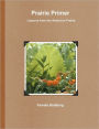 Prairie Primer - Lessons From The American Prairie