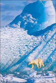Wildlife Photographer of the Year