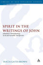 Spirit in the Writings of John: Johannine Pneumatology in Social-Scientific Perspective