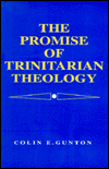 The Promise of Trinitarian Theology