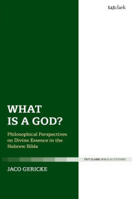 Title: What is a God?: Philosophical Perspectives on Divine Essence in the Hebrew Bible, Author: Jaco Gericke