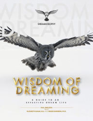 Title: Wisdom of Dreaming: A Guide to an Effective Dream Life, Author: Paul M Sheldon