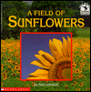 Field of Sunflowers