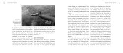 Alternative view 4 of When Forests Burn: The Story of Wildfire in America