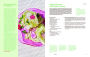 Alternative view 2 of Kismet: Bright, Fresh, Vegetable-Loving Recipes
