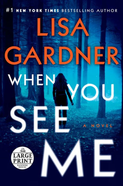 When You See Me (Detective D. D. Warren Series #11)