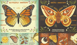 Alternative view 3 of What's Inside a Caterpillar Cocoon?: And Other Questions About Moths & Butterflies