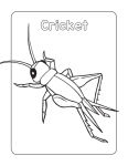 Alternative view 2 of Bug Book for Kids: Coloring Fun and Awesome Facts
