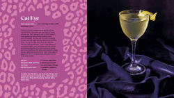 Alternative view 5 of Drink Lightly: A Lighter Take on Serious Cocktails, with 100+ Recipes for Low- and No-Alcohol Drinks: A Cocktail Recipe Book