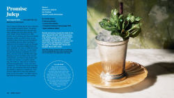 Alternative view 4 of Drink Lightly: A Lighter Take on Serious Cocktails, with 100+ Recipes for Low- and No-Alcohol Drinks: A Cocktail Recipe Book