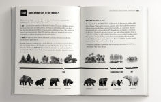 Alternative view 5 of Rejected Books: The Most Unpublishable Books of All Time