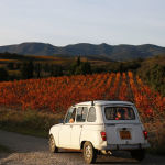 Alternative view 4 of A Season for That: Lost and Found in the Other Southern France