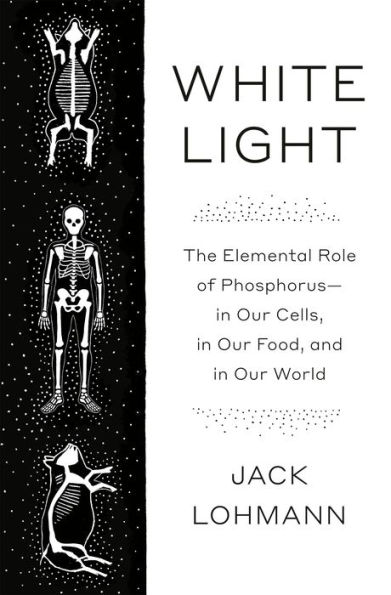 White Light: The Elemental Role of Phosphorus-in Our Cells, in Our Food, and in Our World