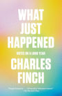 What Just Happened: Notes on a Long Year