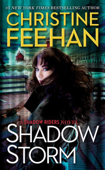 Shadow Storm (Shadow Riders Series #6)