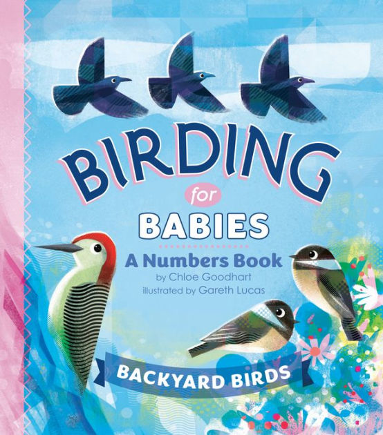 Birding for Babies Backyard Birds A Numbers Book by Chloe Goodhart