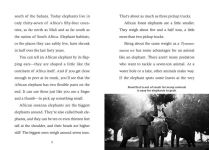 Alternative view 2 of Save the...Elephants