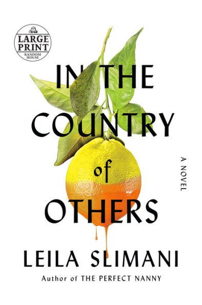 In the Country of Others: A Novel