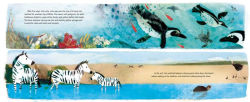 Alternative view 3 of Yoshi, Sea Turtle Genius: A True Story about an Amazing Swimmer
