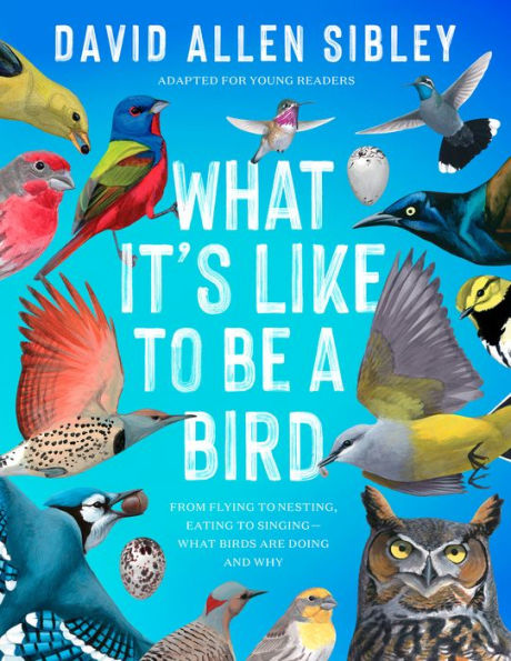 What It's Like to Be a Bird (Adapted for Young Readers): From Flying to Nesting, Eating to Singing--What Birds Are Doing and Why