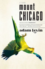 Title: Mount Chicago: A Novel, Author: Adam Levin