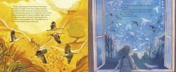 Alternative view 6 of Birdlore: The Iridescent Life of Florence Merriam Bailey