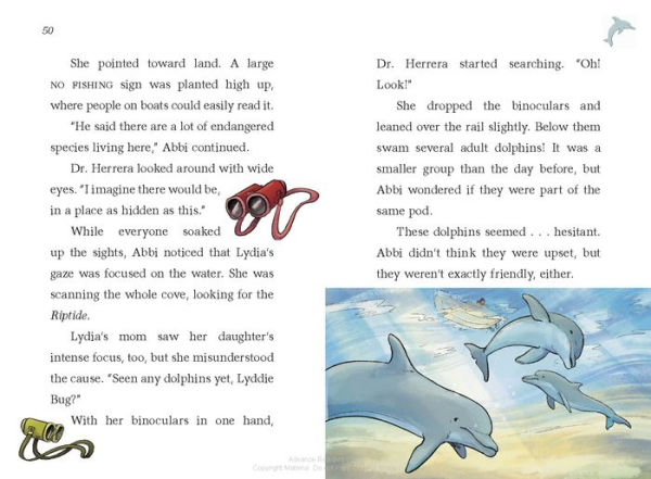 A to Z Animal Mysteries #4: Dolphin Detectives