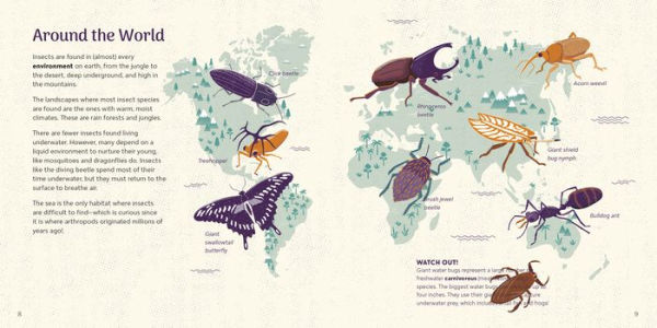 Amazing Insects Around the World