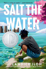 Title: Salt the Water, Author: Candice Iloh